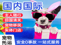 富蕴可可托海机场货运国际宠物托运 【国